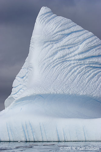 Iceberg