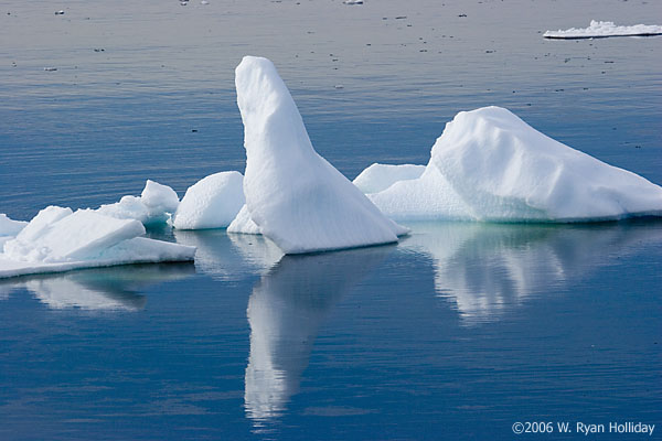 Iceberg