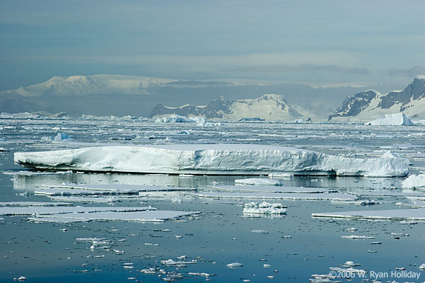 Iceberg