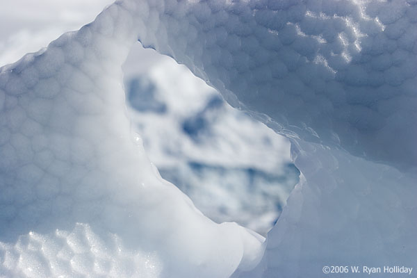 Iceberg