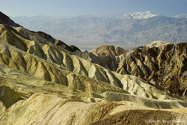 Golden Canyon Landscape