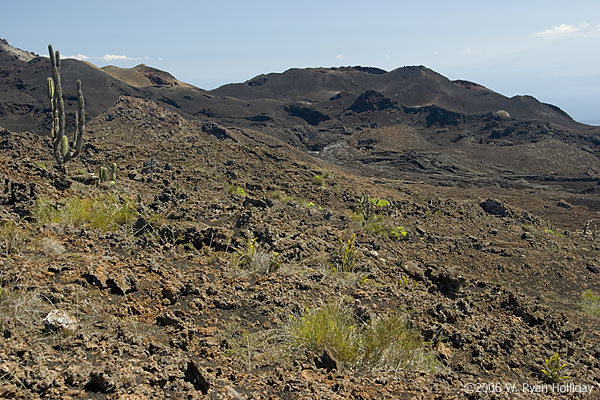 Sierra Negra Landscape