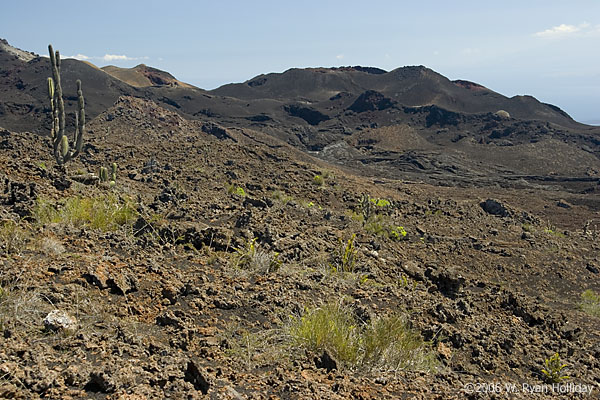 Sierra Negra Landscape