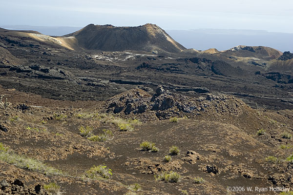 Sierra Negra Landscape