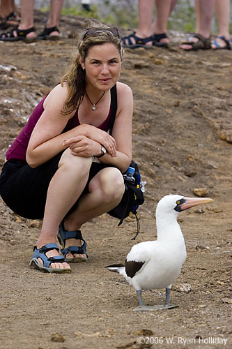 Nazca Boobies and Audrey