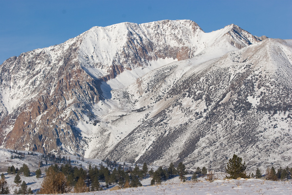 Eastern Sierra Landscape