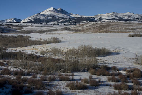 Sierra Landscape