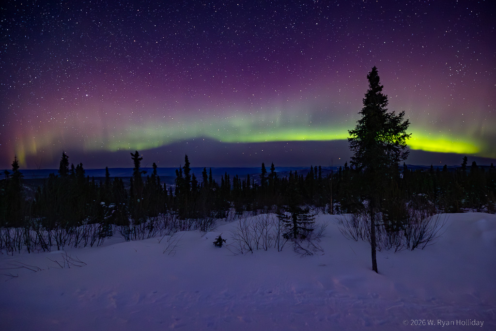 Aurora Borealis from Cleary Summit
