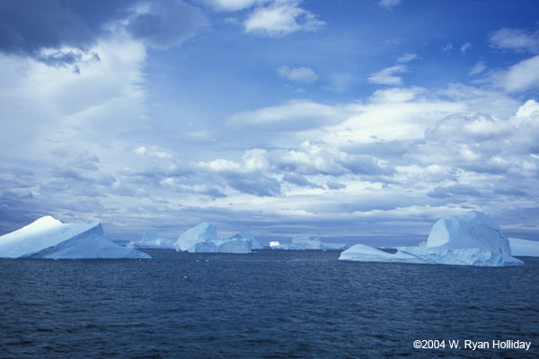 Icebergs near Drygalski Fjord