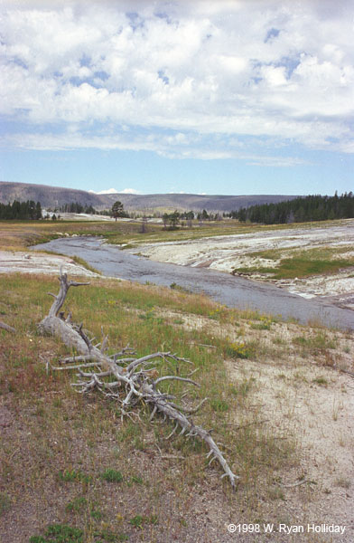 Firehole River