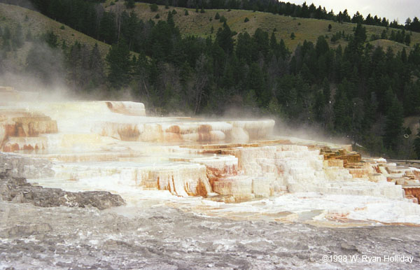 Mammoth Hot Springs