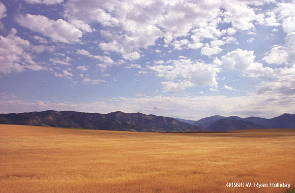 Idaho Landscape