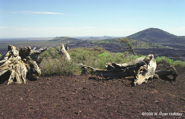 Craters of the Moon Landscape