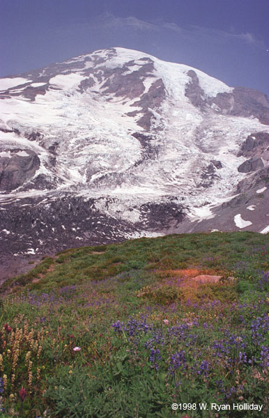 Mount Ranier Landscape