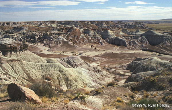 Painted Desert Landscape