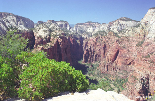 Zion Canyon from Angel's Landing