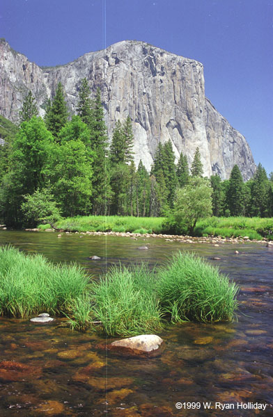 Merced River and El Capitan