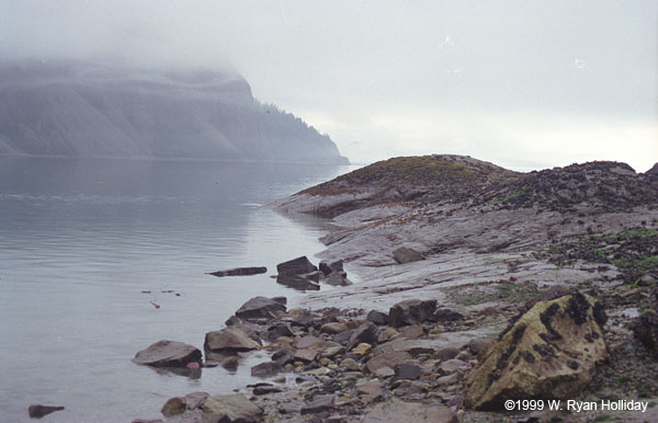Glacier Bay Landscape