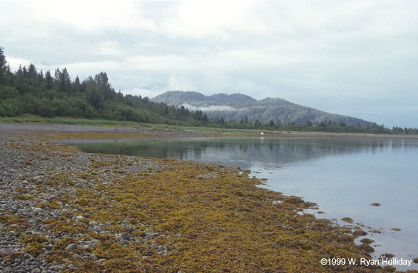 Glacier Bay Landscape