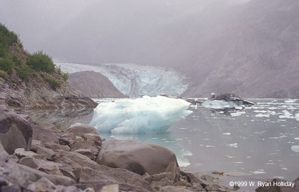 Glacier Bay Landscape