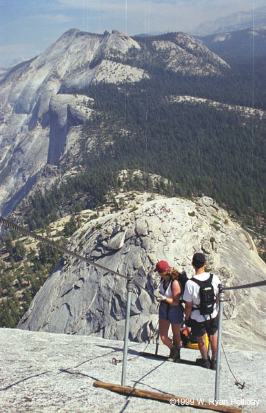 Half Dome Cables