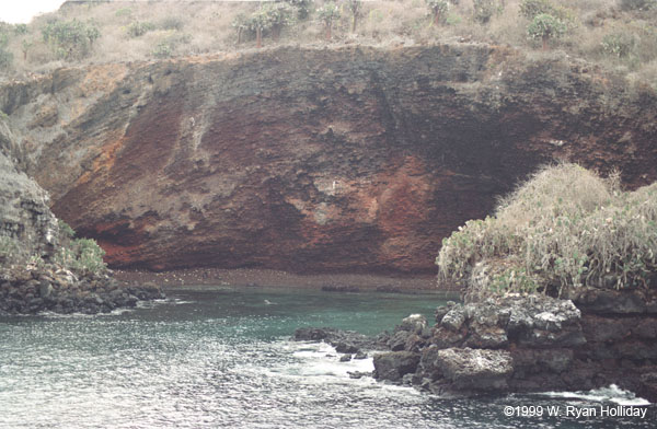 Floreana Landscape