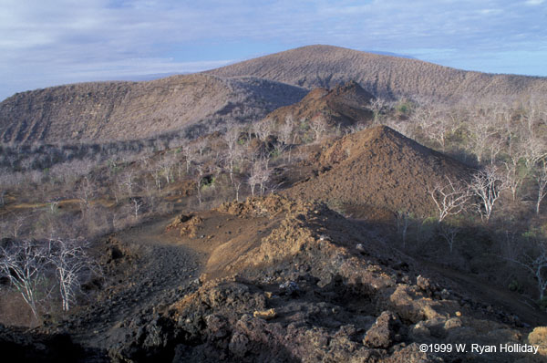 Volcanic Landscape