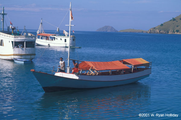 The Komodo Island Boat