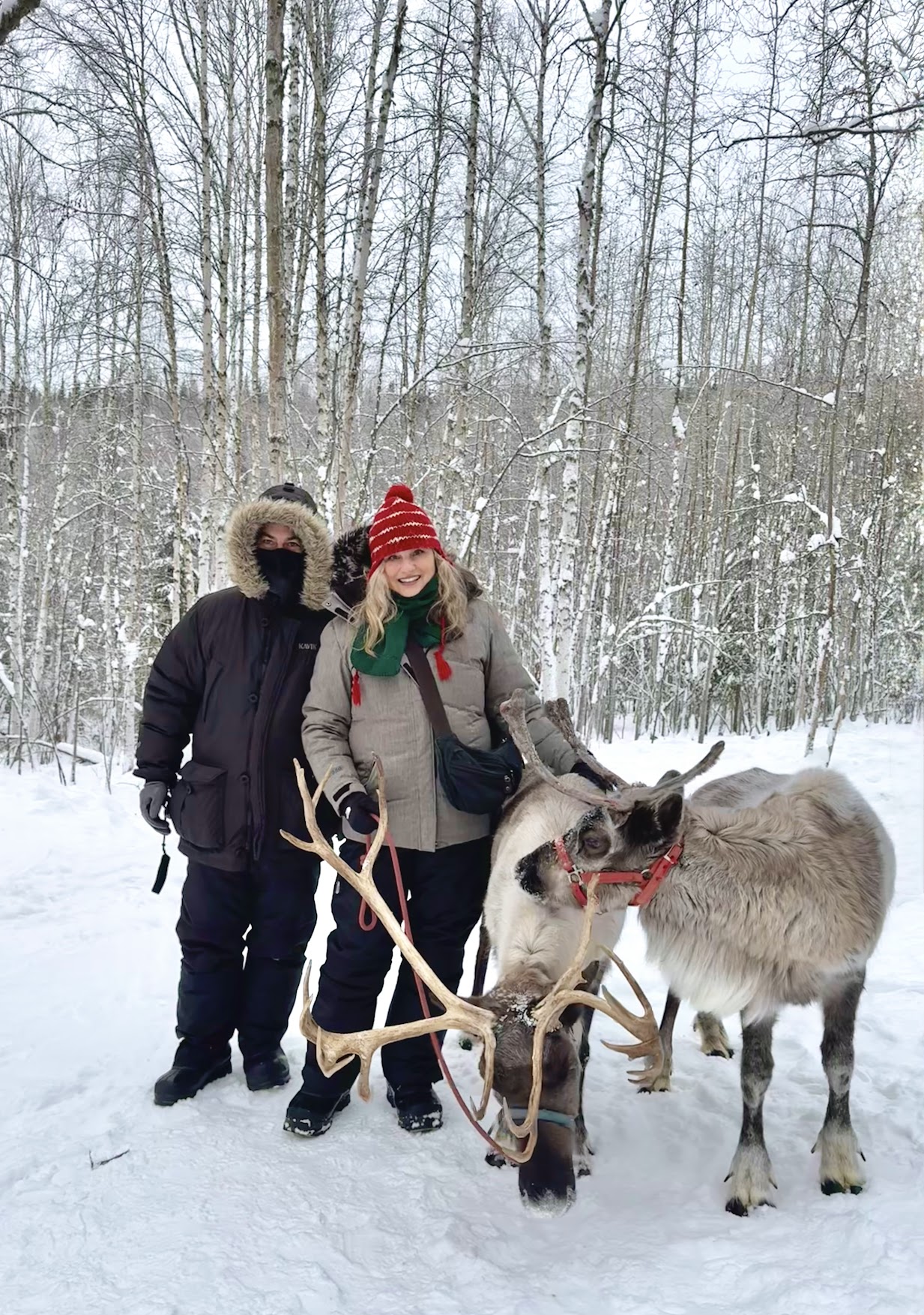 Aurora Borealis Lodge