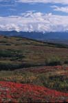 Tundra and Denali in Clouds