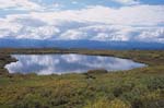 Kettle Pond near Wonder Lake