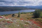 Wonder Lake with Fall Color