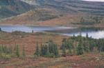 Wonder Lake with Fall Color