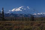 Denali and Tundra