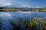 Denali from Reflection Pond