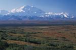 Denali (Mt. McKinley)