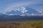 Denali from near Moose Creek