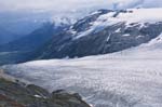 Exit Glacier