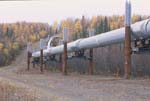 Alaska Oil Pipeline Near Dalton Highway