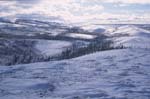 Winter in the Richardson Mountains