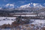 Winter in the Ogilve Mountains