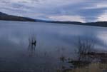 Marsh Lake