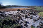 Lagoon near Dragon Hill