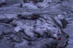 Flowing Lava at Kilheau Iki