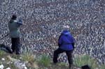 Rod, Matt and King Penguin Colony