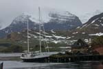 Golden Fleece in Whaling Station