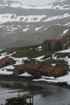 Abandoned Whaling Station