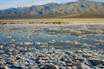 Salt Flats