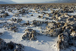 Salt Flats