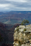 Grand Canyon from South Rim